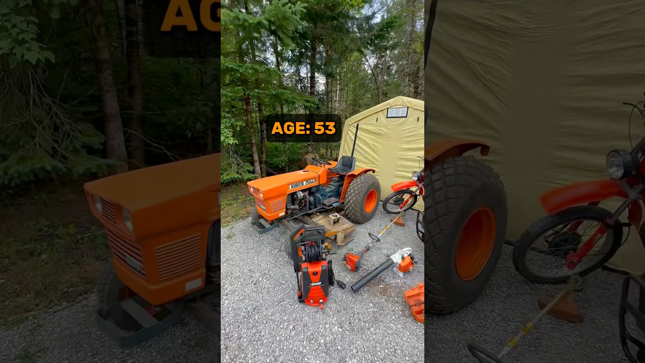 What is the most reliable Color? 🟠 