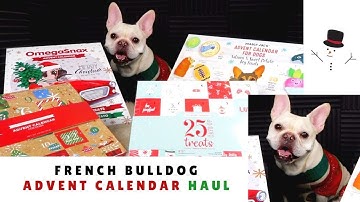 French Bulldog Haul: Advent Calendar for Dogs |  Frenchie Trekker TV 🎄Vlogmas Day 1  フレンチ・ブルドッグ