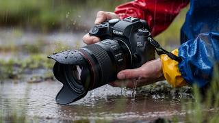Don’t Buy a Camera Before Watching This! 📸 Best Picks 2026
