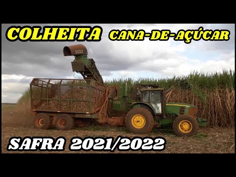 COLHEITA DE CANA-DE-AÇÚCAR | Safra 2021/2022
