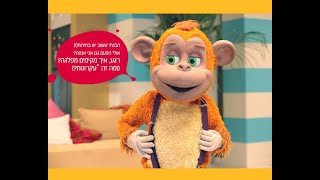 חוכמת הקוף - גם בפוליטיקה!