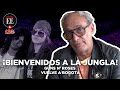 &quot;Ya puedo morir feliz&quot;: Julio Correal sobre concierto de Guns N&#39; Roses en Bogotá | El Espectador