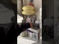 朝vlogs⏰🤍