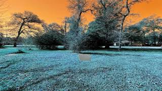 00 Wild Oak Dr Houston TX 77090 Is For Sale Only For $50,000