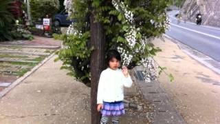 田中家族 田中えみ 検索動画16 田中家族 田中えみ 検索動画 16