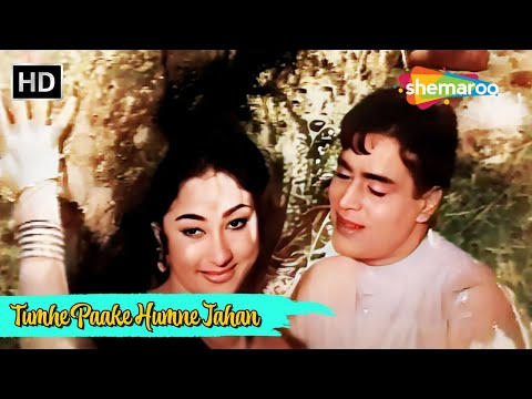 Tumhe Pake Hamne Jahan Pa Liya Hai Mohd Rafi Hit Songs Mala Sinha Rajendra Kumar Gehra Daag