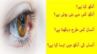 360 Inside The Human Eye Demo