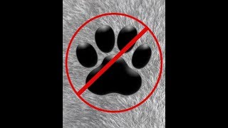 Pets banned in Alabama