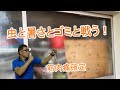 【激闘】ゴキブリが大量発生するクセの強いゴミ屋敷!