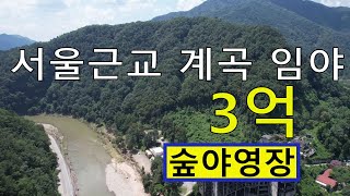 3억 서울근교싼임야 청정계곡 공시가5억2천 시세25~124억 건축가 전원생활 숲야영장+캠핑고기집+캠핑교회+힐링숲6차산업 숲카페 숲팬션 땅과함께(새희망을)경매임야 공매임야 나도땅주인