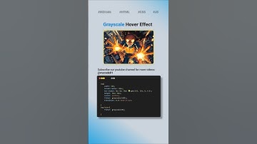 CSS Tips and Tricks: Grayscale Hover Effect #css #coding #shorts #webdesign #cssshorts #webdesign
