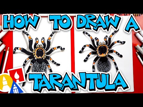 Video: How To Draw A Tarantula