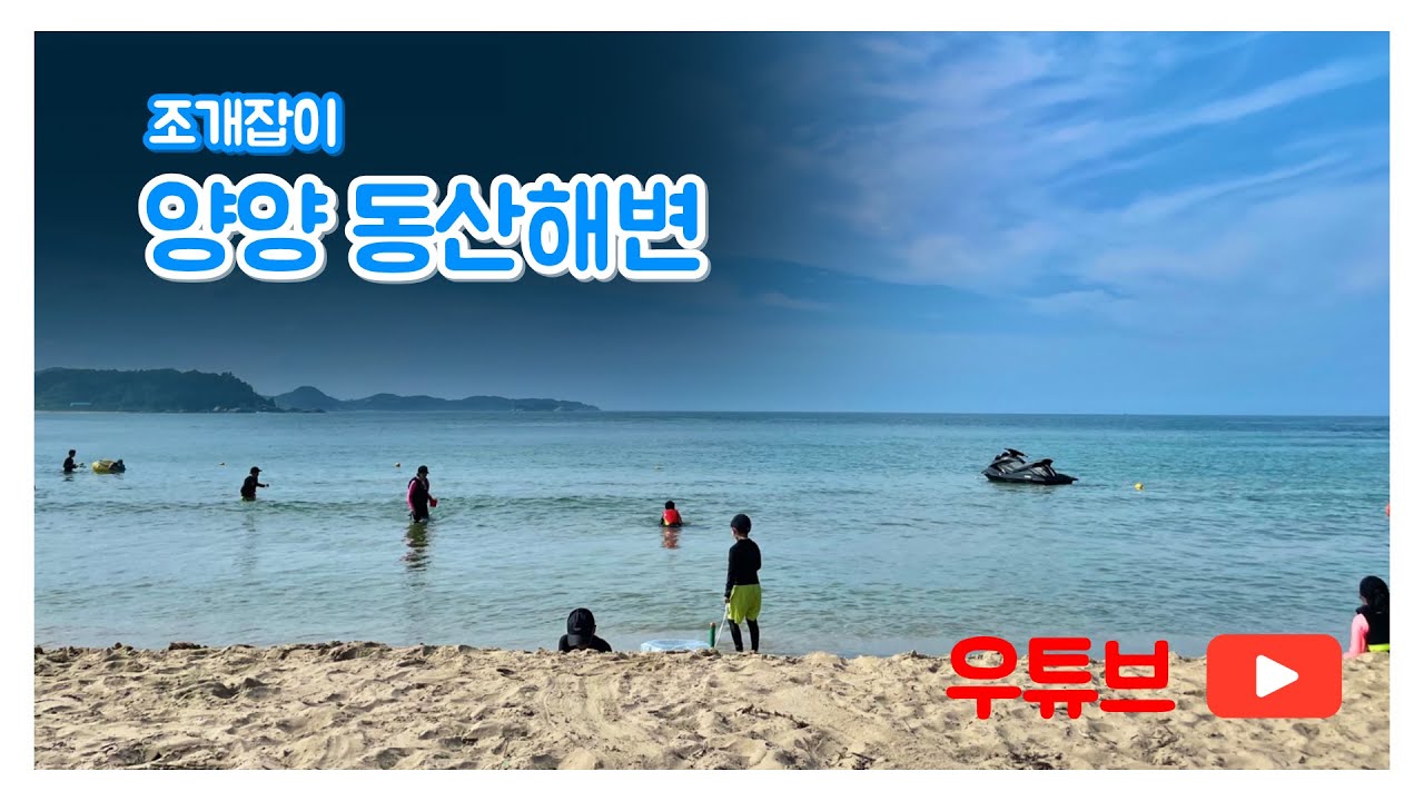 양양 동산해변 조개잡이
