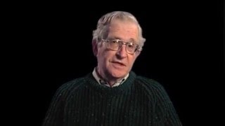 Noam Chomsky on Labor Market Flexibility
