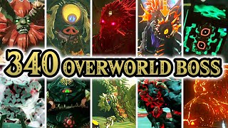 Zelda Tears of the Kingdom - All Overworld Bosses + Locations