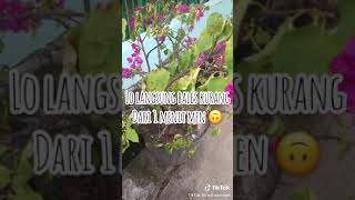 Download Mp3 Pernah merasa goblok gak sih Gudang lagu Download Mp3 Pernah merasa goblok gak sih