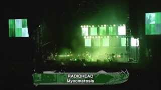 Radiohead - Myxomatosis [HD] (Live Fuji Rock Festival 2012)