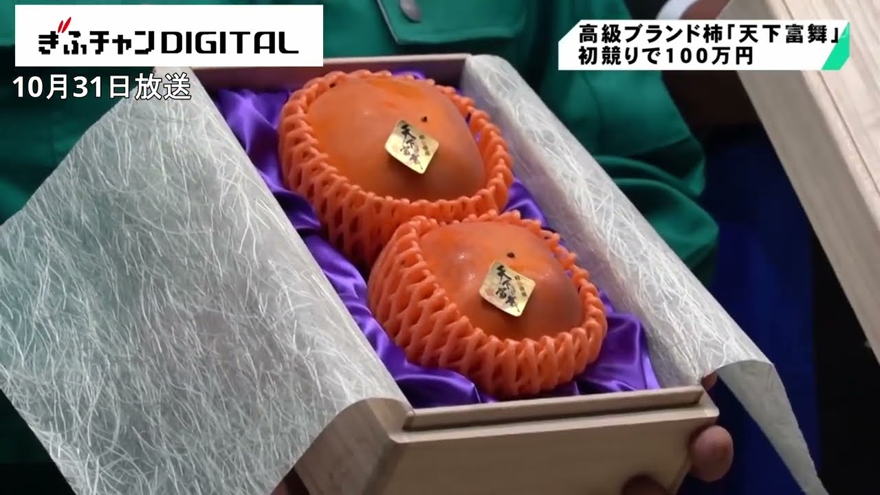 maxresdefault.jpg?sqp=-