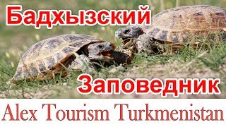 Badkhyz reserve. Turkmenistan