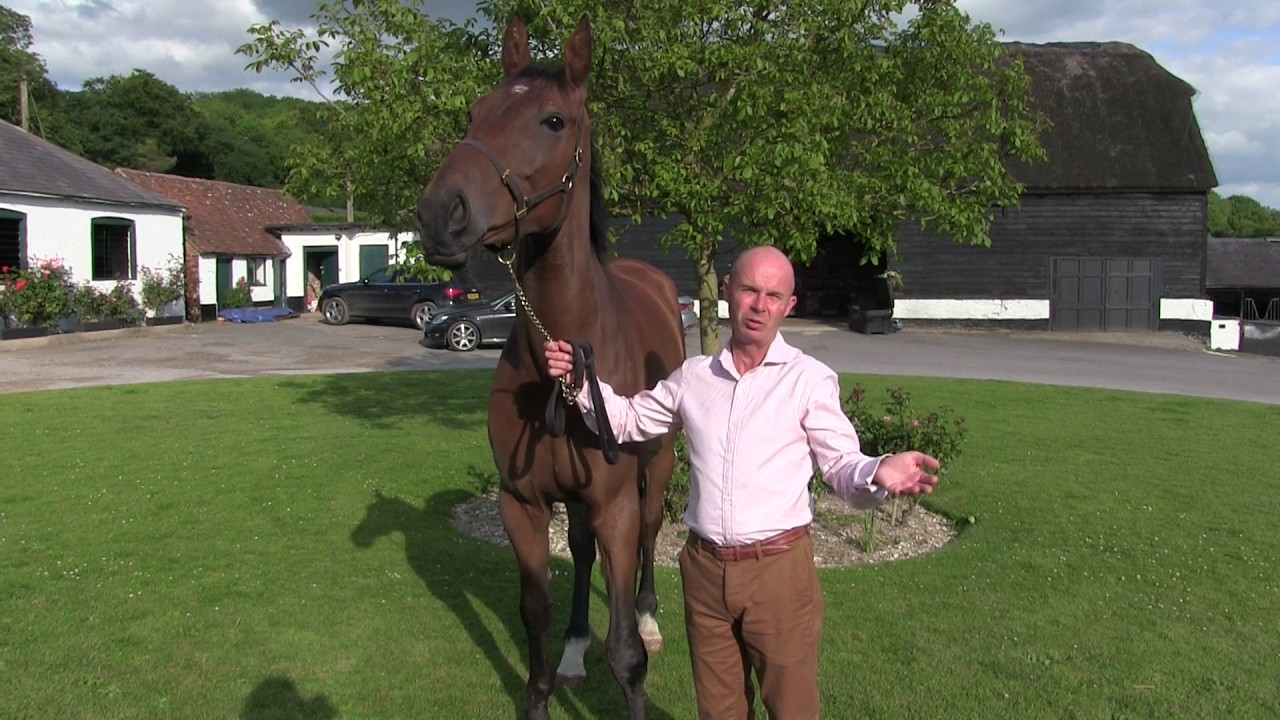 Luke Harvey Racing Club - YouTube