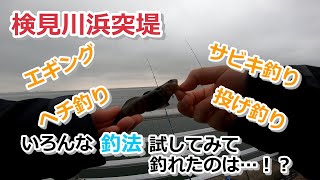 検見川浜突堤 エギング・サビキ釣り・ヘチ釣り・投げ釣り、いろんな釣法試してみて釣れたのは…！？【2020年12月30日】【東京湾奥 】