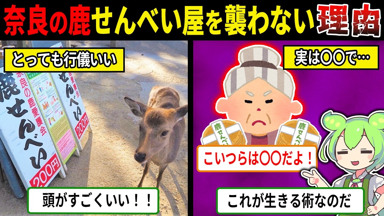 奈良の鹿がせんべい屋を襲わないヤバすぎる理由【ずんだもん＆ゆっくり解説】