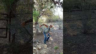 1 Min Steel Mace Ring Of Saturn Sequence H2H Side View