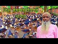 বিনা পয়সায় হাঁসের খাবার তৈরি। হাঁস পালন পদ্ধতি। Duck Farming live video.