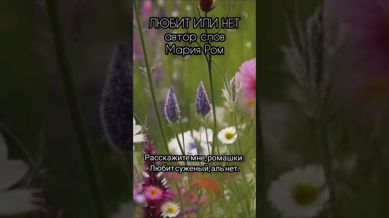 ЛЮБИТ ИЛИ НЕТ. Автор слов Мария Ром 