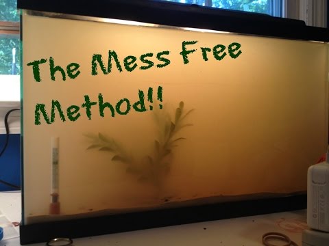 COMMENT: Ajouter Sand à votre aquarium / MESS GRATUIT / DIY TUTORIAL