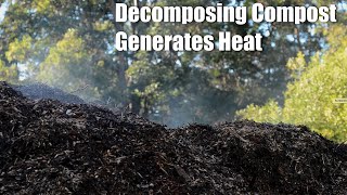 #Compost #Composting #Compostheaps Compost what you dont Know
Compost heaps are amazing places. Here are are some aspects you may not have observed. When we think about composting we usually think about all of the microorganisms which are responsible for breaking down the organic matter into other more basic forms and in doing so generate heat.
However, there are other benefits to this organic breakdown, they can attract bird and other animal life. See how in this video.
#Compost #Composting #compostlife #Composter #Wildlife #Compost #Composting #Compostheaps Compost what you dont Know