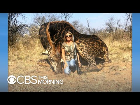 American hunter in viral photo "proud" of the giraffe she killed