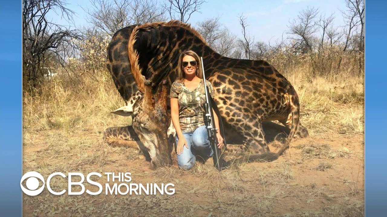 American hunter in viral photo "proud" of the giraffe she killed