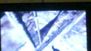COD5 Campaign Glitch - Mission Downfall