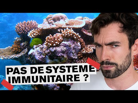 Vidéo: À quelle vitesse pousse le corail porite ?