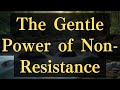 The Gentle Power of Non-Resistance #yourmonkhaku #buddhism #motivation #mindfulness #spirituality