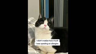 Loving my cat shouldn't mean suffering every day...Glad I found this. 😺#catallergy #catmom #cats