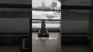 あの守り神の様子… #新琴似駅　#JR北海道 #学園都市線　#HOKKAIDO