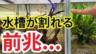 YouTube動画:使用期間5年超えた水槽は買い替えないと危険?まだ持つ?