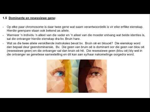 Video: Waarom meervoudige oorerwing nie in Java ondersteun word nie verduidelik met voorbeeld?