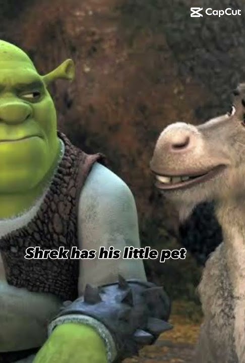 CapCut_burrinho do shrek fez