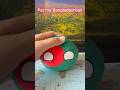Pat my Bangladeshball. #countryballs #countryballplushies #memes #countryball #stopmotion