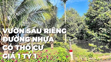 A Dũng hạ giá cần bán vườn sầu riêng ,đường nhựa lớn , có thổ cư ở BR-VT(Đã Bán)
