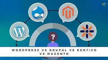 WordPress vs Drupal vs Kentico vs Magento: Which Is The Best CMS?