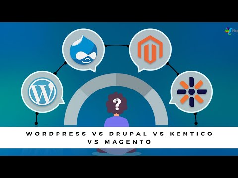 WordPress vs Drupal vs Kentico vs Magento: Which Is The Best CMS?