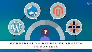 WordPress vs Drupal vs Kentico vs Magento: Which Is The Best CMS