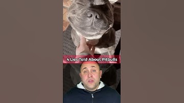 Thumbnail of 4 LIES TOLD ABOUT PITBULLS