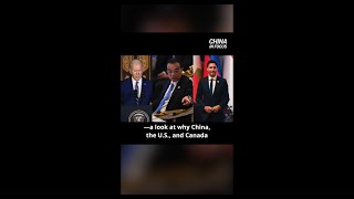 Violent Protests In Guangzhou Over Covid 19 Curbs Chinainfocus shorts