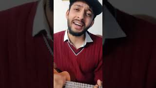 Video thumbnail of "Wo Ladki hai kaha Ukulele Cover | Shaan | Vaibhav Chawla | Saif Ali Khan"