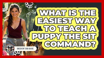 What Is The Easiest Way To Teach A Puppy The Sit Command? - Obedient Dog Guide